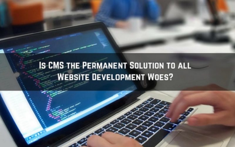 Website-Development-Mississauga cms importance in website development