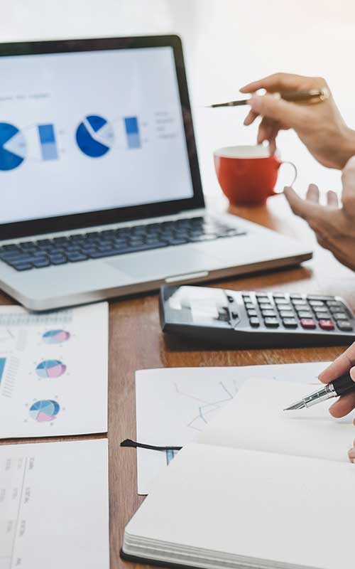 mark_tool_seo_hmltn1